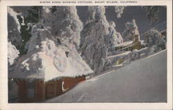 Winter Scene Showing Cottages, Mount Wilson, California Postcard