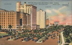 Biscayne Boulevard and Hotels, Miami, Florida Postcard