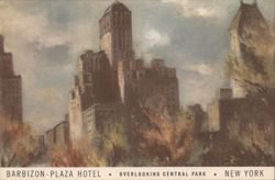 Barbizon-Plaza Hotel Overlooking Central Park Postcard