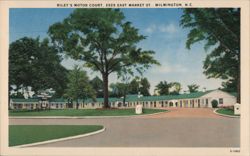 Riley's Motor Court, Wilmington, NC Postcard