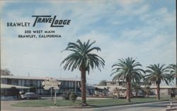 Brawley Travelodge with Palm Trees Postcard