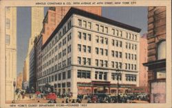 Arnold Constable & Co. Department Store, Fifth Ave, NYC Postcard
