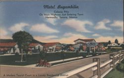 Motel Bugambilia - Modern Tourist Court, Hermosillo Postcard