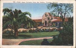 Hotel Agua Caliente and Grounds from the Casino Postcard