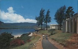 Hanalei Plantation Resort over Hanalei Bay, Kauai HI Postcard