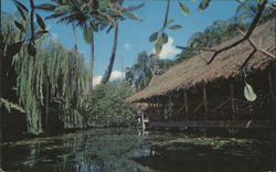 The Willows Restaurant - Thatched Building over Water Postcard