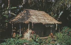 Robert Louis Stevenson's Grass Hut, Manoa Valley Postcard