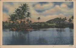 Koko Head, Palm Trees by Water Postcard