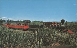 Lahaina Kaanapali & Pacific Rail Road in Maui Sugarcane Postcard