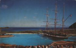Whaling Ship Essex and Hawaiian Porpoises at Sea Life Park Postcard