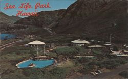 Sea Life Park, Hawaii - Aerial View Postcard
