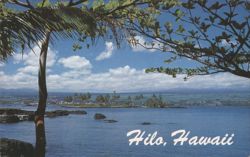 Hilo Town Across Blue Hilo Bay with Tropical Trees Postcard