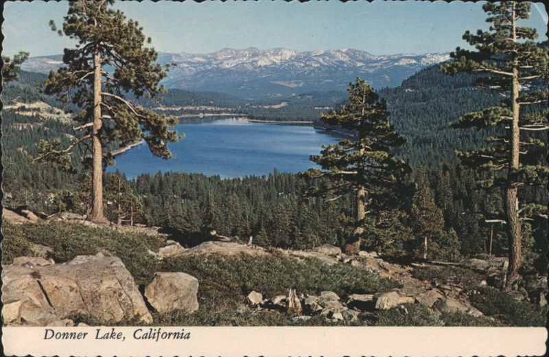Donner Lake with Pine-Lined Shore and Snow-Capped Mountains California