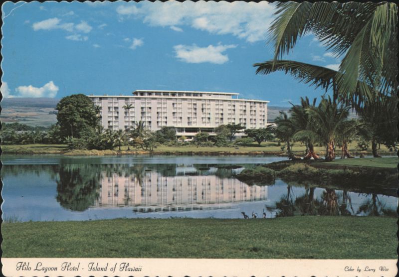 Hilo Lagoon Hotel on Wailoa River, Hawaii Larry Witt