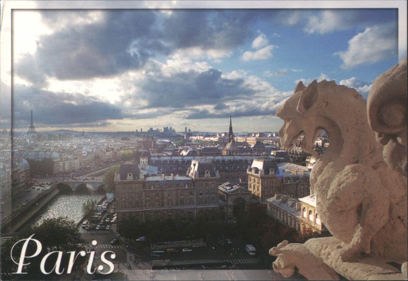 Panorama of Paris from Notre-Dame Cathedral Gallery with Gargoyle France