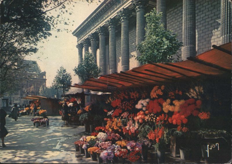 Flower Market at La Madeleine, Paris France