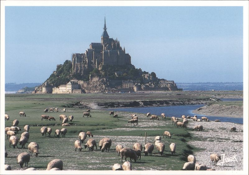 Mont Saint-Michel with Sheep Grazing in the Tidal Flats France