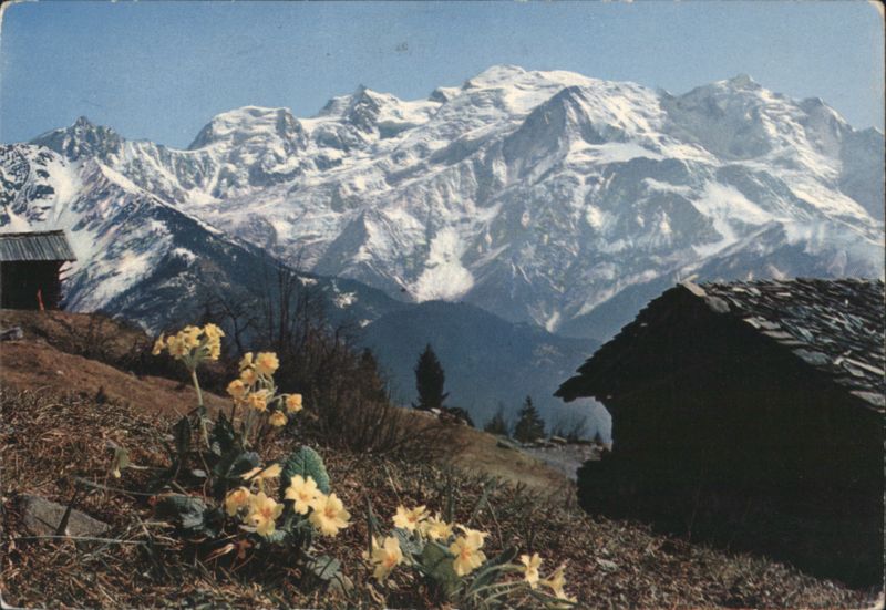 Mont Blanc Massif, Huts & Yellow Flowers France