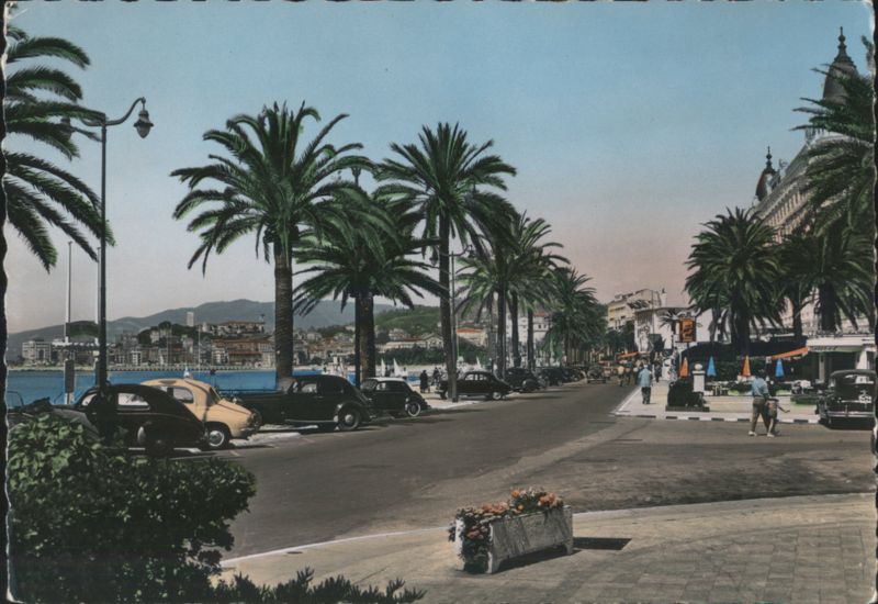 La Croisette Boulevard, Cannes with Palm Trees France