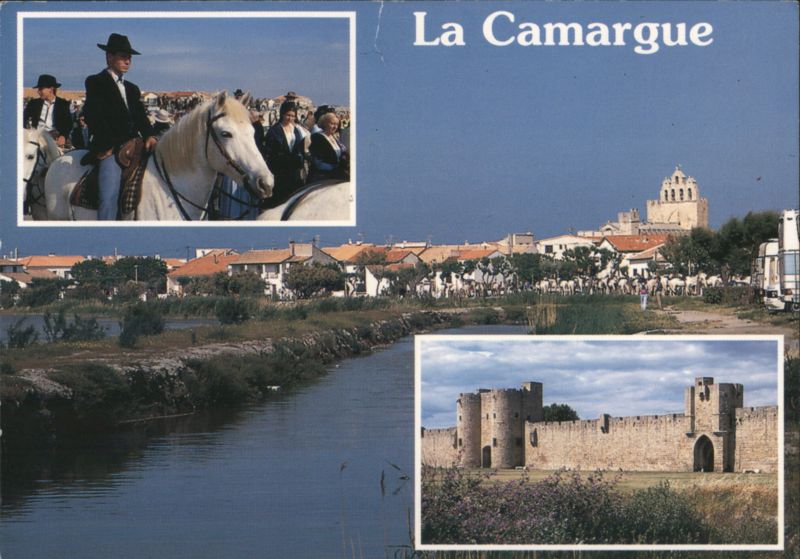 La Camargue, Horsemen & Aigues-Mortes Fortifications France