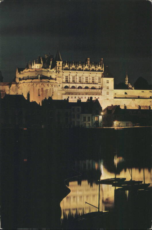 Château d'Amboise at Night with River Reflection France