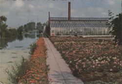 Aalsmeer Flower Center and Canal Postcard