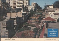 Lombard Street, The Crookedest Street in the World, San Francisco Postcard