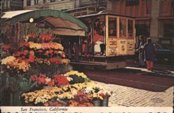 San Francisco Cable Car and Flower Stand Postcard