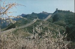 Great Wall of China in Spring Postcard