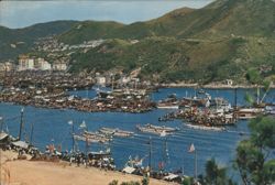 Dragon Boat Race in Aberdeen Harbor, Hong Kong Postcard