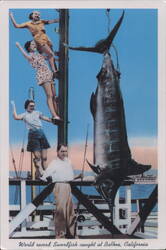 World Record Swordfish Caught by Alfonse Hamann, Balboa Postcard