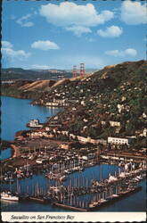 Sausalito Marina and Golden Gate Bridge View Postcard