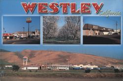 Westley, CA: Town View, Orchards, and McDonald's Postcard