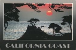 California Coast Sunset with Lone Cypress Silhouettes Postcard