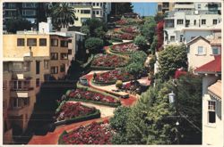 Lombard Street's Crooked Path with Colorful Flowers Postcard