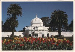 Conservatory of Flowers, Golden Gate Park with Tulips Postcard