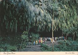 Fern Grotto with Visitors, Kauai, Hawaii Postcard
