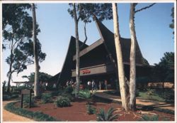 Dole Pineapple Pavilion - Wahiawa, Hawaii Postcard