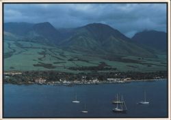 Maui: Lahaina Town, West Maui Mountains & Sugar Cane Fields Postcard