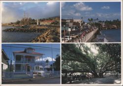 Lahaina Maui HI Views Harbor Front St Banyan Tree 2000 Postcard