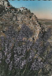 Gourdon Village and Lavender Fields Postcard