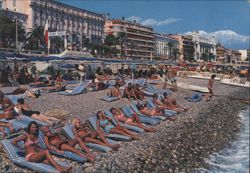 Nice Beach and Promenade des Anglais Postcard