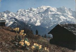 Mont Blanc Massif, Huts & Yellow Flowers Postcard