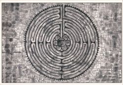 Chartres Cathedral Labyrinth - Stone Pavement Design Postcard