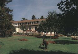 Hôtel La Pommeraie with Donkey on Lawn Postcard