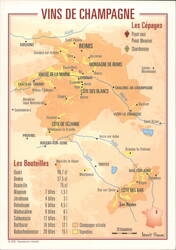 Vins de Champagne: Regional Map & Bottle Guide Postcard