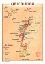 VINS DE BOURGOGNE - Map of Wine Regions Postcard