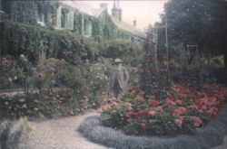 Claude Monet in his garden at Giverny Postcard