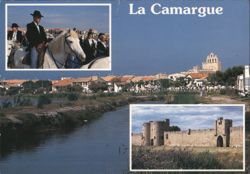 La Camargue, Horsemen & Aigues-Mortes Fortifications Postcard