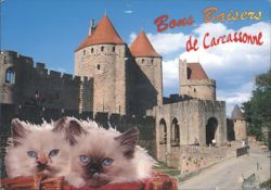 Carcassonne City Walls and Towers with Two Kittens Postcard